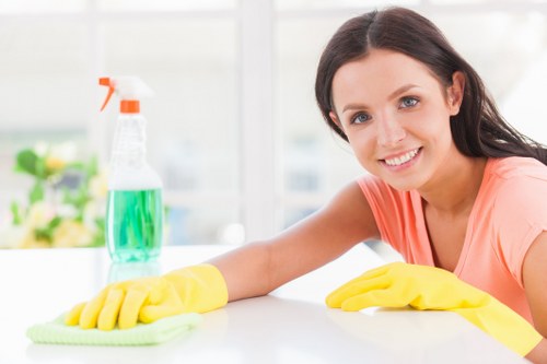 Cleaner maintaining a tidy SE8 home living room during a regular cleaning visit