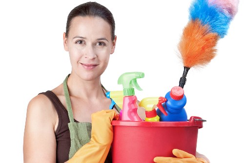 Inclusive accessibility support message for Carpet Cleaners SE8