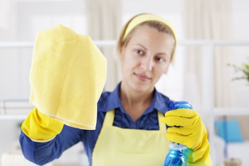 Carpet cleaning service terms and conditions overview
