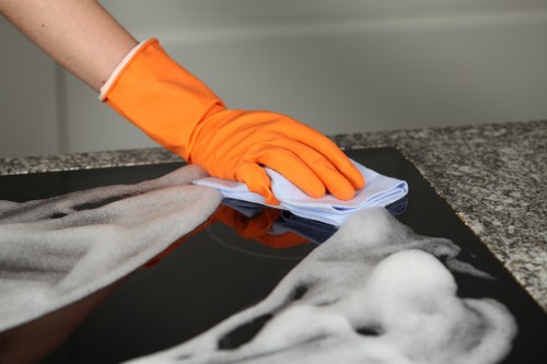 Local technician treating pet urine odour in a SE8 home carpet