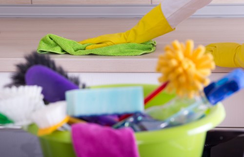 Professional pet stain removal service in a SE8 rental property