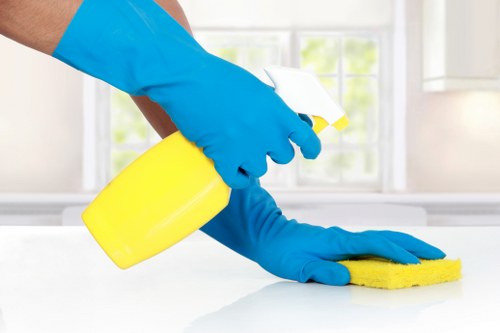 Cleaning professional refreshing a SE8 home interior during a one-off service