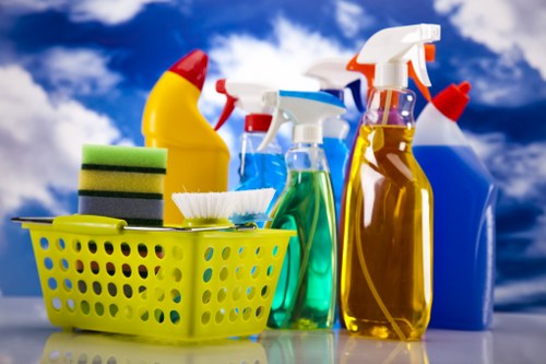 Professional oven cleaning service in a SE8 kitchen