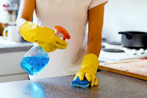 Local domestic cleaning for a flat in SE8