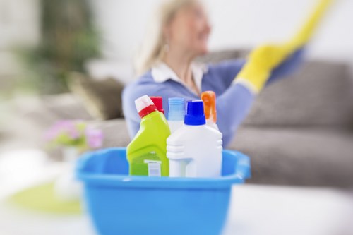 Cleaning delicate curtains in a SE8 living room setting