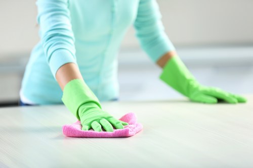 Detailed kitchen and bathroom cleaning for a property in SE8