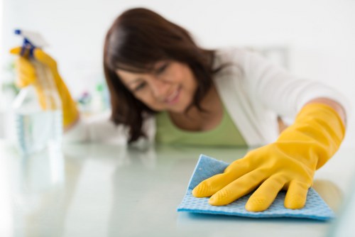 Upholstery cleaning for pet stain removal in a SE8 flat