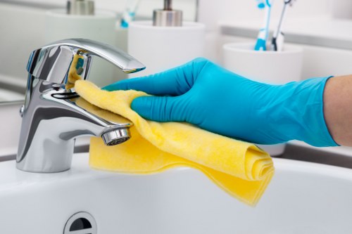 Bathroom deep cleaning as part of a move out clean in SE8
