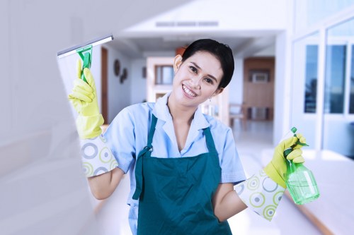 Clean oven and kitchen appliance care in SE8