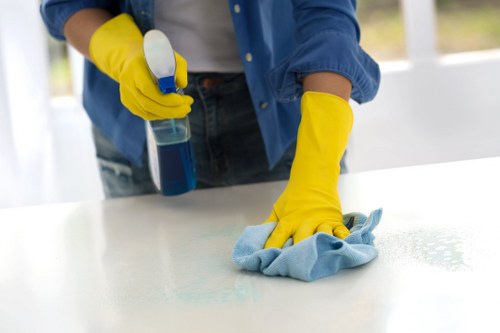 Professional carpet cleaners in SE8 completing a safe final inspection